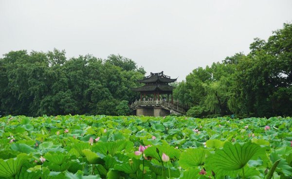 杭州西湖十大景点介绍