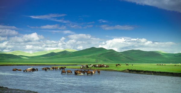 呼和浩特市周边旅游景点大全