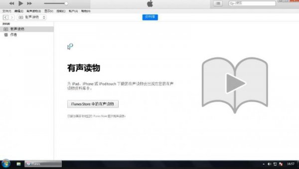 itunesstore什么意思