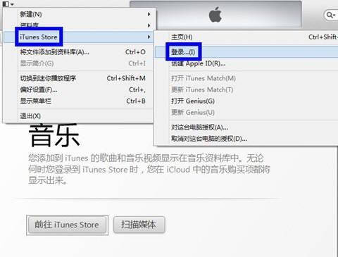 itunesstore什么意思