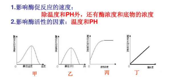 黄瓜和西红柿能一起吃吗