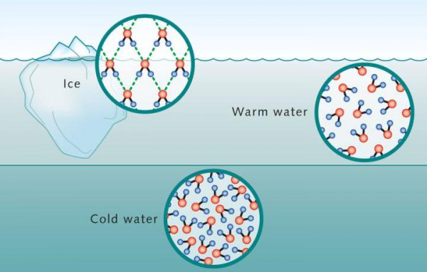 水变成冰为什么体积变大