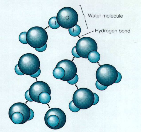 水变成冰为什么体积变大