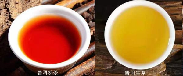 普洱茶属于什么类型的茶