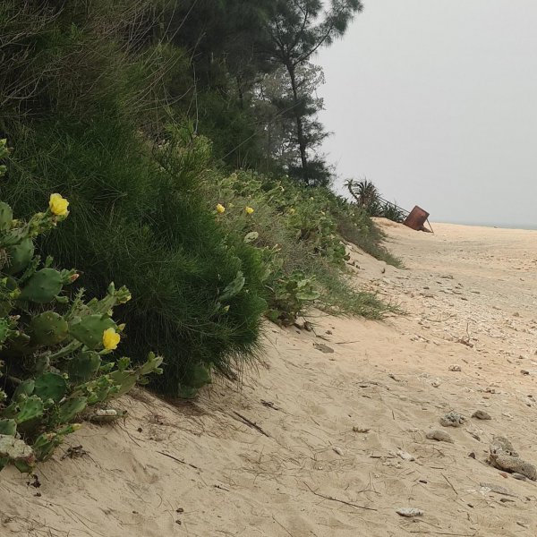 广西涠洲岛旅游景点推荐