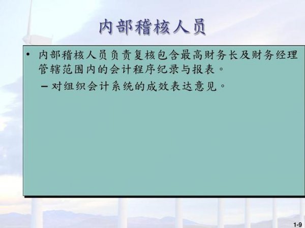 财务稽核是什么意思