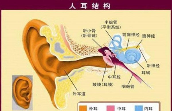 耳朵进水了出不来怎么办