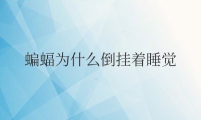 蝙蝠为什么倒挂着睡觉不掉 蝙蝠是如何倒挂着睡觉而不掉落的？