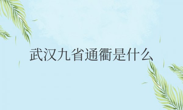 武汉九省（T-Y）是什么意思