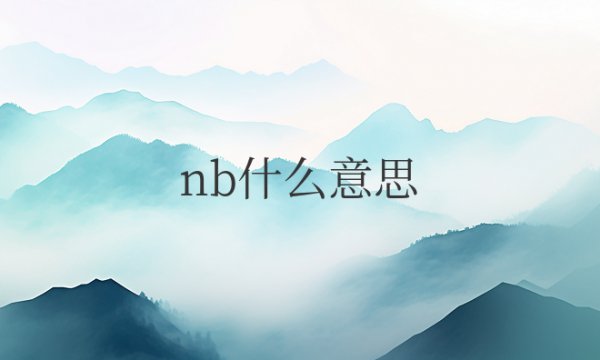 nb什么意思网络用语