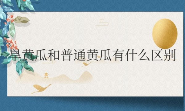 旱黄瓜和普通黄瓜有什么区别哪个好