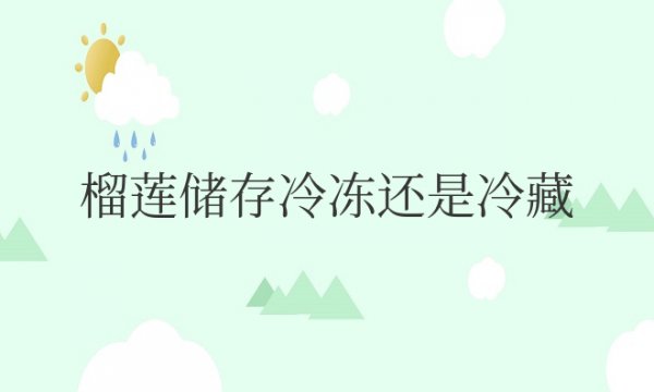 榴莲存放冷藏还是冷冻比较好