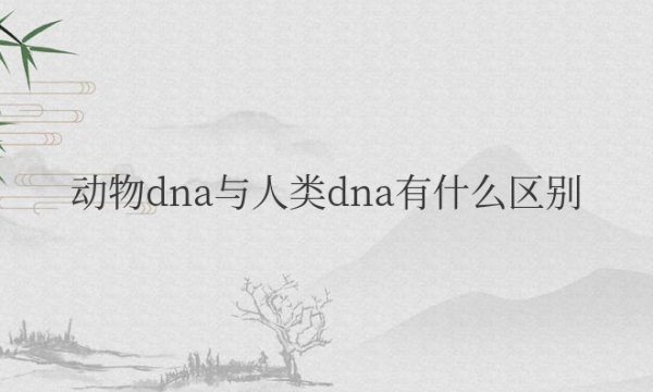 动物dna与人类dna有什么区别和联系