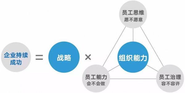 组织能力强表现在哪些方面举例