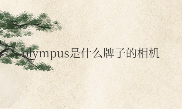 olympus是什么牌子的相机