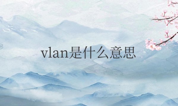 vlan是什么意思有什么用途