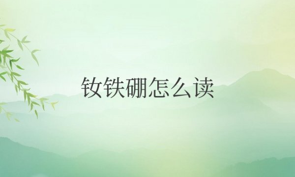 钕铁硼怎么读