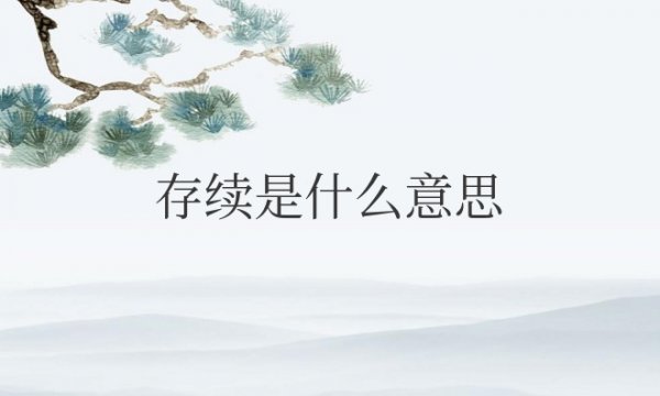 企业存续是什么意思？和正常经营的区别？