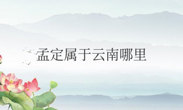 孟定属于云南哪里的位置