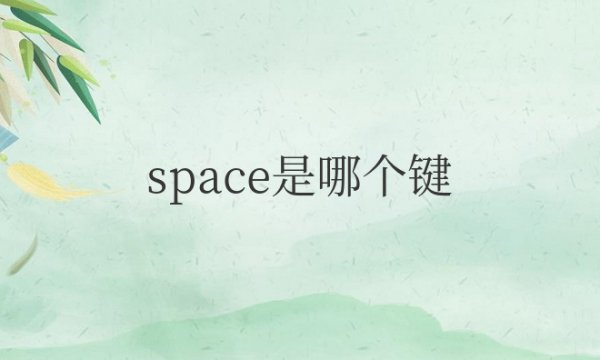 space是哪个键