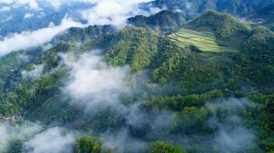 十堰旅游攻略景点推荐 推荐十堰旅游的必去景点和攻略