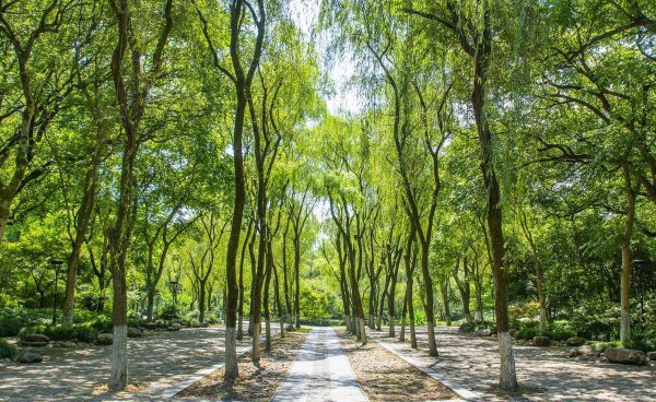 西湖必去的十大景点