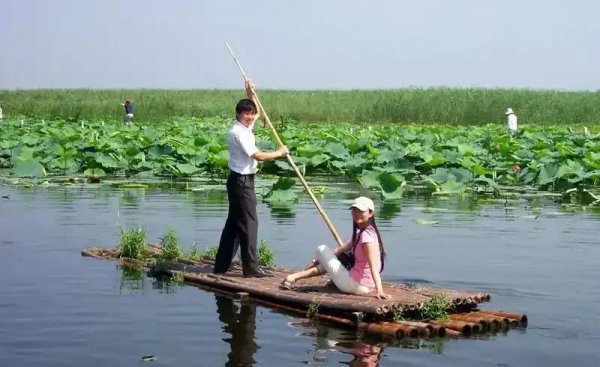 白洋淀旅游攻略自驾游一日游