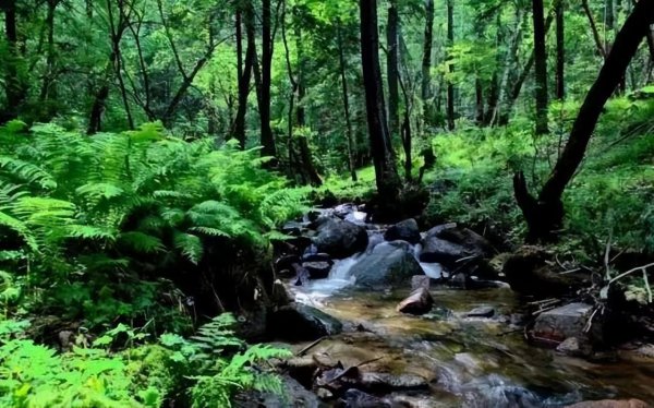 山西旅游景点介绍