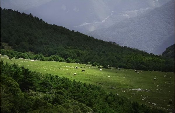 山西旅游景点介绍