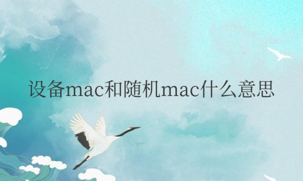 设备mac和随机mac什么意思哪个更快更安全