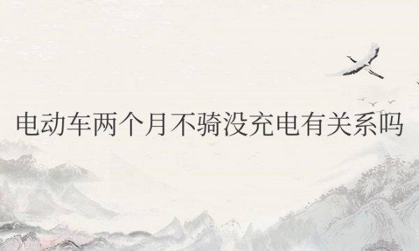 电动车两个月不骑没充电有关系吗