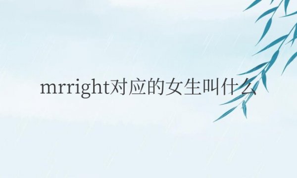 mr right对应的女生叫什么