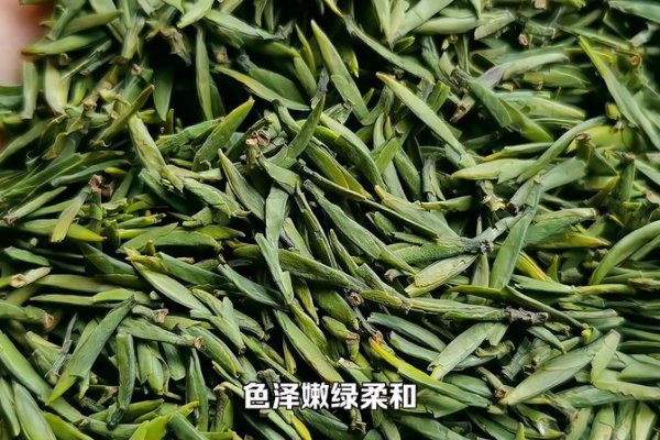 雀舌茶的口感