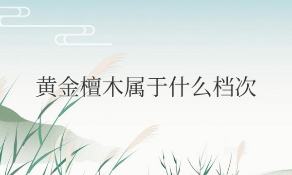 黄金檀木属于什么档次的木材