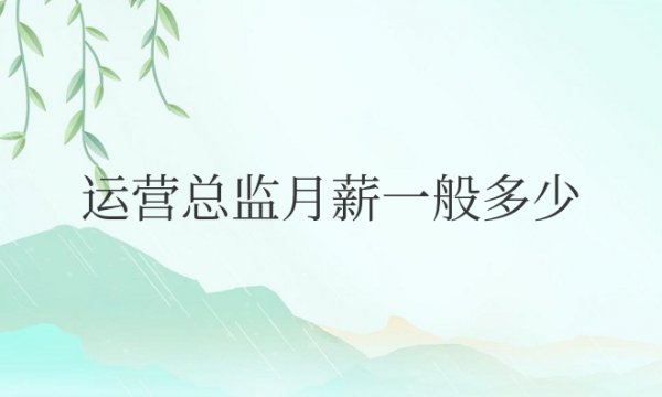 运营总监月薪一般多少钱怎么算