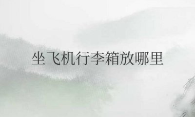 新手第一次坐飞机行李箱放哪里