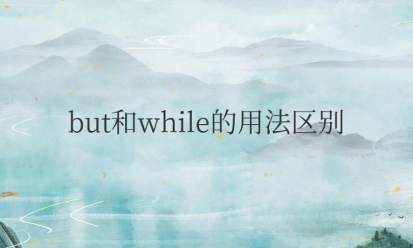 but和while的用法区别