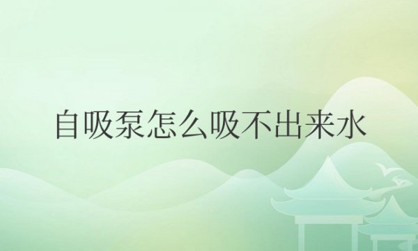 自吸泵怎么吸不出来水怎么调节