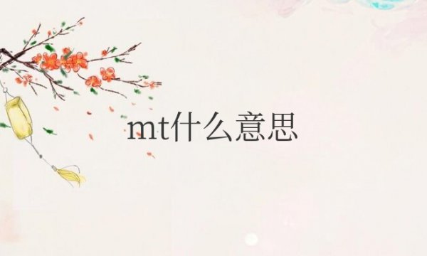 医学上MT是什么意思的缩写