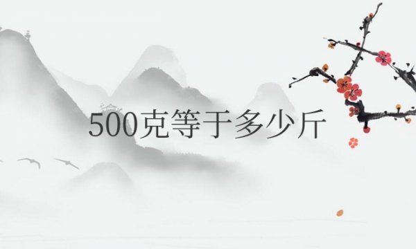 500克等于多少斤多少公斤