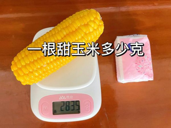 一根玉米可食用部分多少克碳水及热量