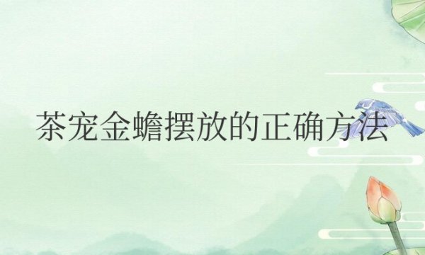 茶宠金蟾摆放的正确方法