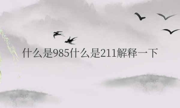 什么是985什么是211解释一下