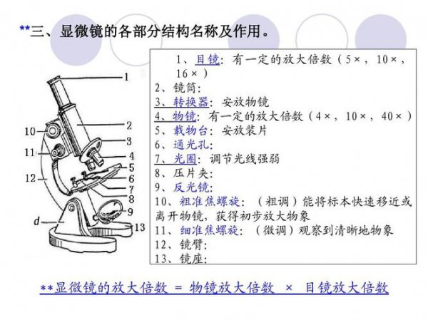 显微镜是凸透镜还是凹透镜