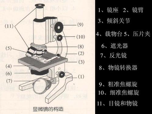 显微镜是凸透镜还是凹透镜