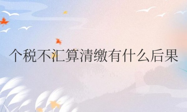 个税不汇算清缴有什么后果