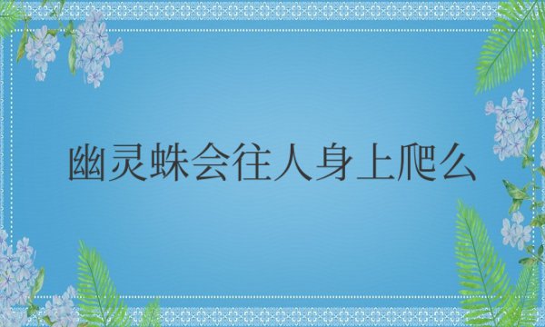 幽灵蛛会往人身上爬么？会在家里繁殖吗？