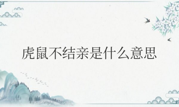 虎鼠不结亲是什么意思