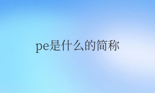 pe是什么的简称