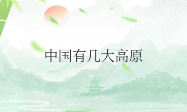 中国有几大高原几大平原几大盆地